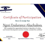 Ngozi Endurance Akachukwu