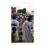 Dr iroko